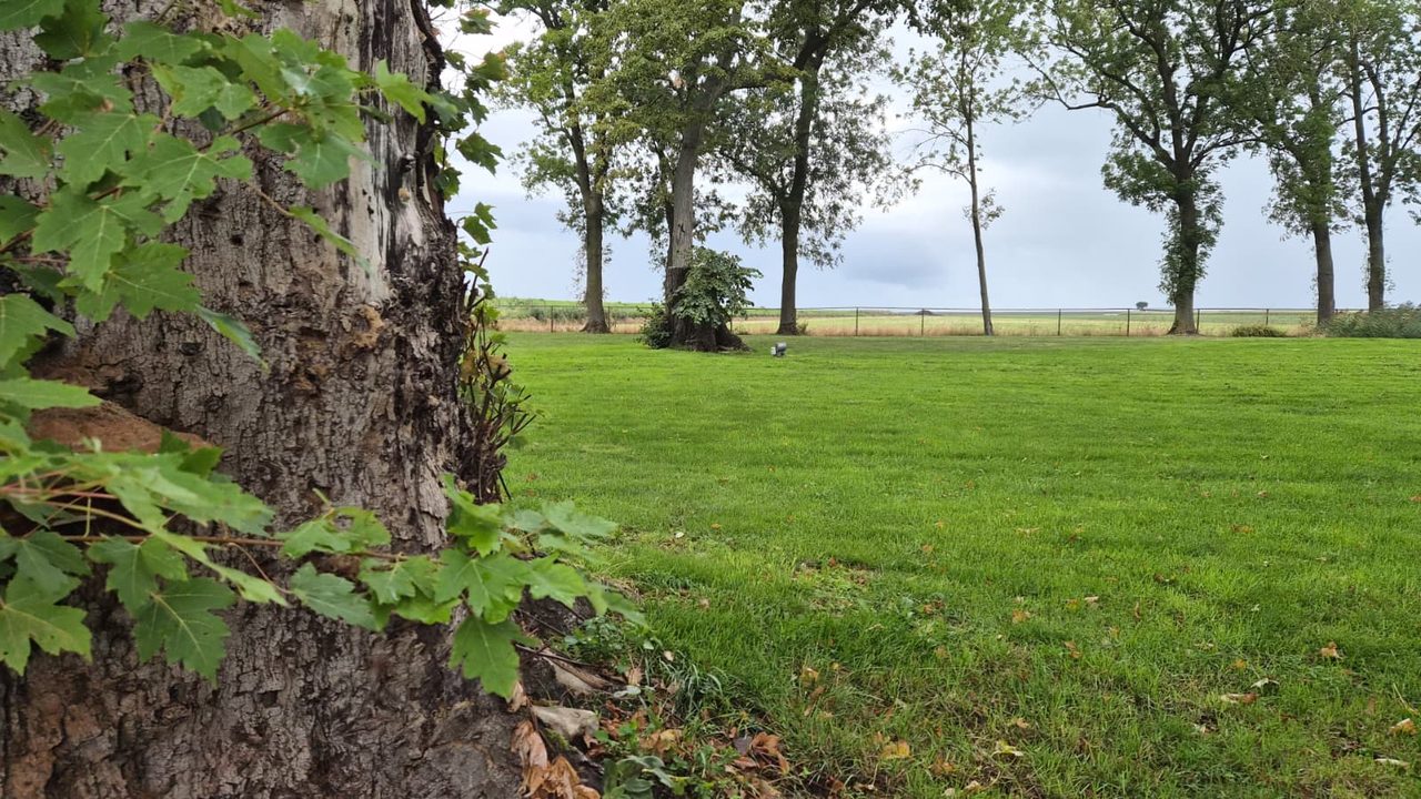 Het buitenterrein van de opvang in Rilland
